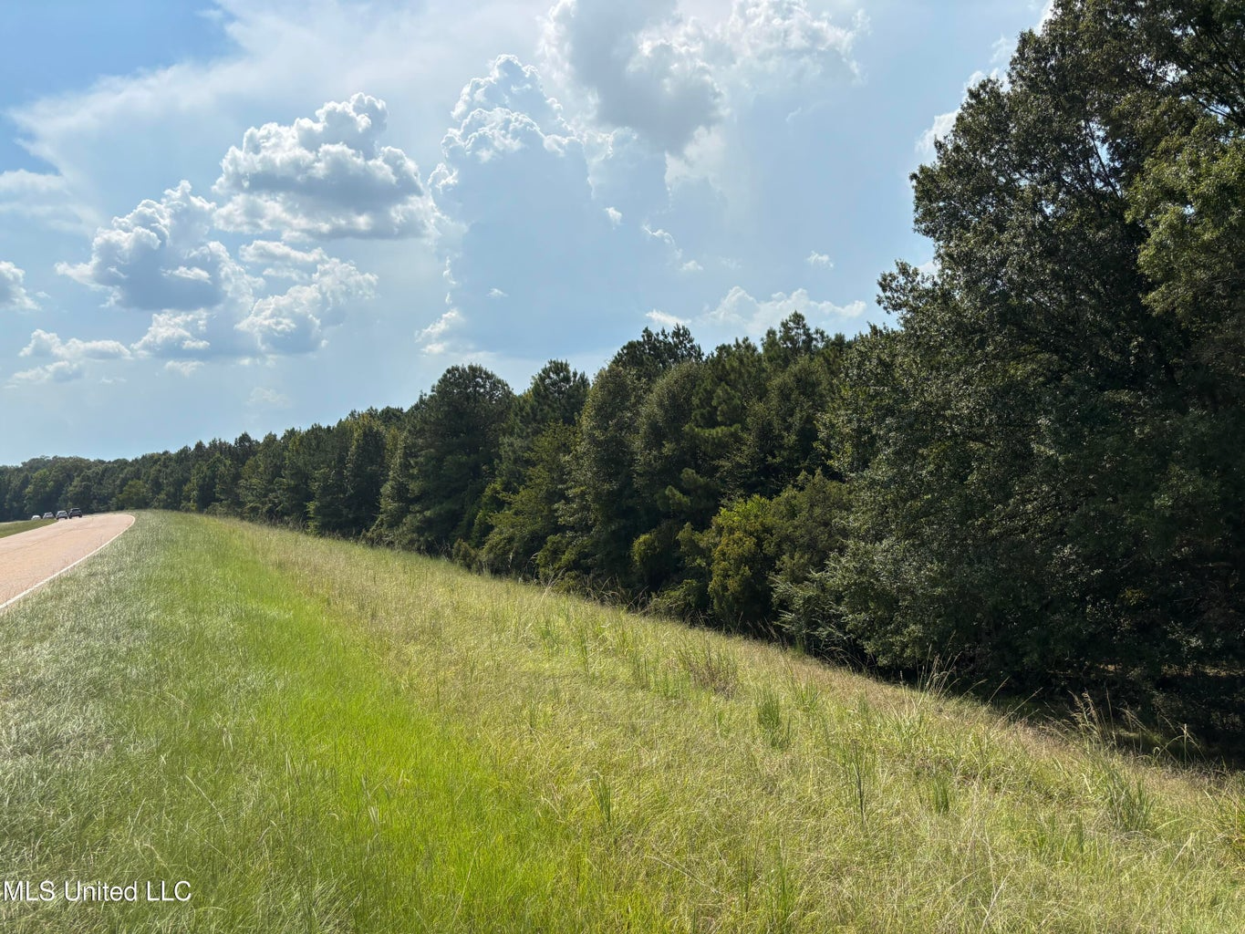 88 Acres for Sale in Hinds County Jackson, MS
