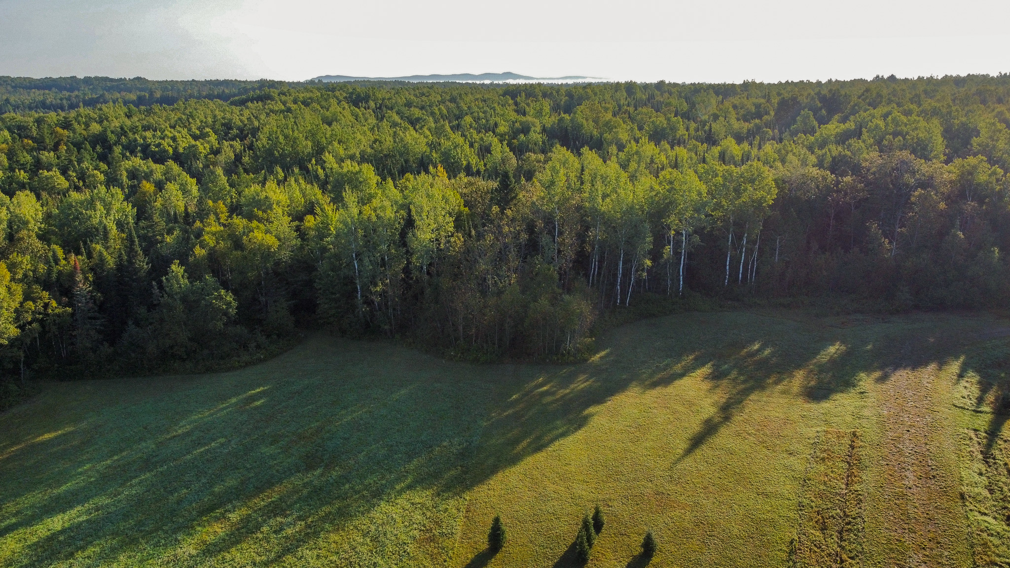 145 Acres with Timber Frame Cabin & Barn in Masardis, Maine