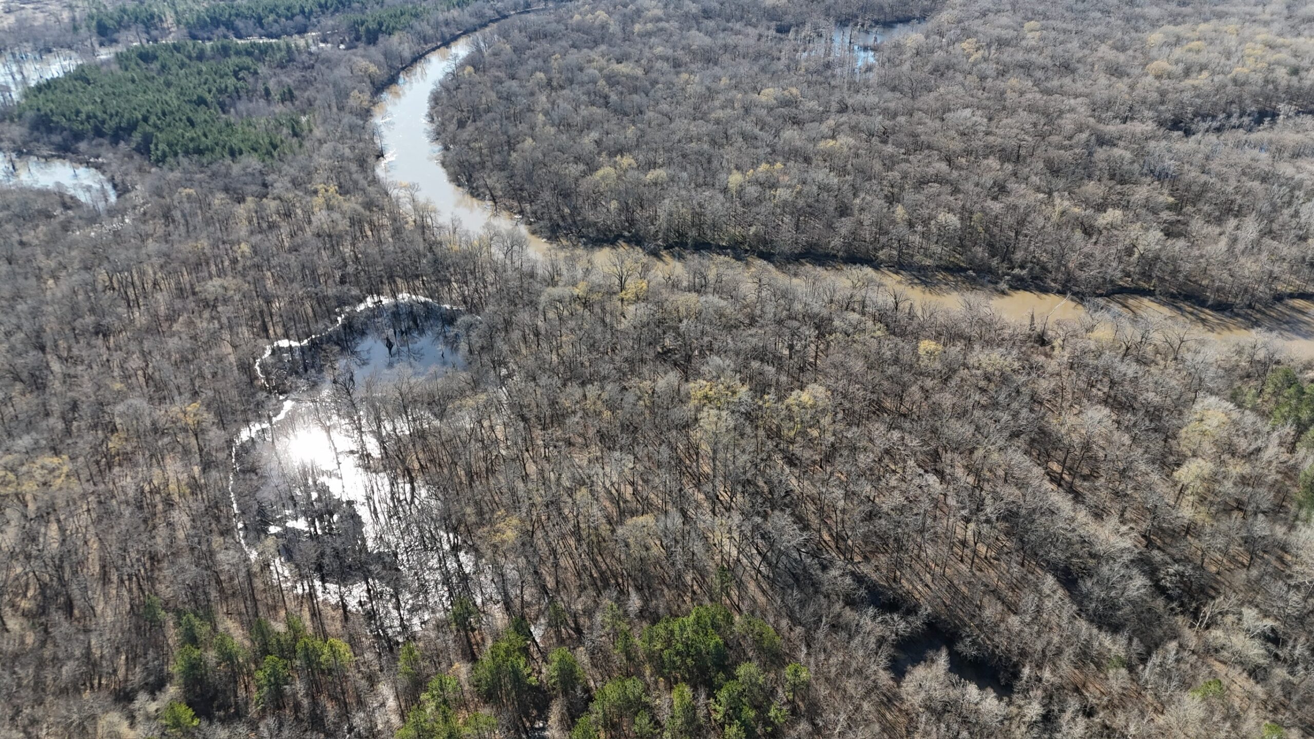 Duck, Deer, and Fishing Land for Sale on Little River
