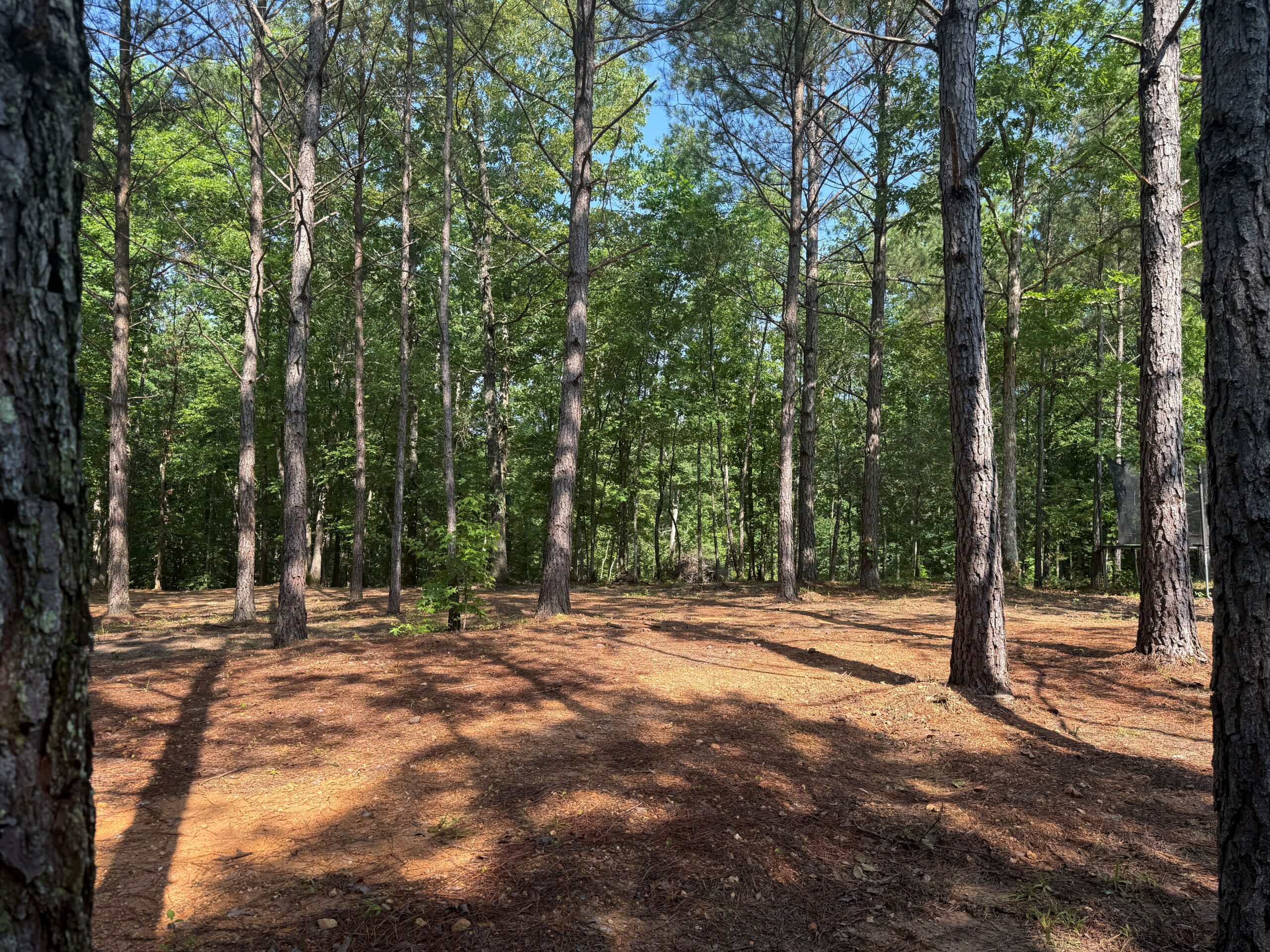 UNRESTRICTED PRIVATE LAND FOR SALE WITH DEER & TURKEY HUNTING