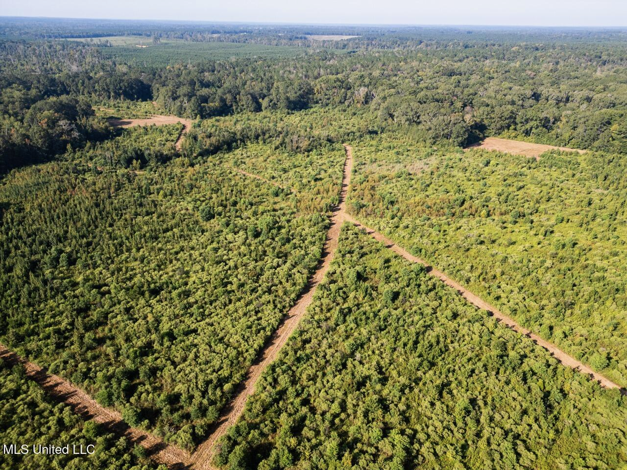 Cotton Creek 169 Acres for Sale in Amite County, MS
