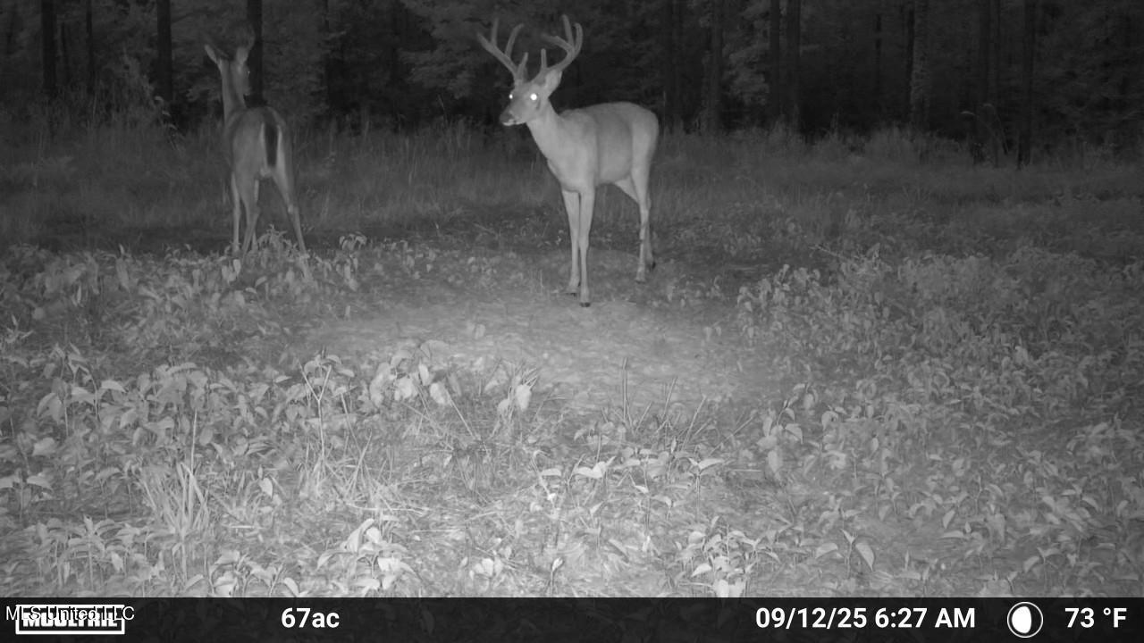 Ramsey Creek 67 Acres for Sale in Centreville, MS
