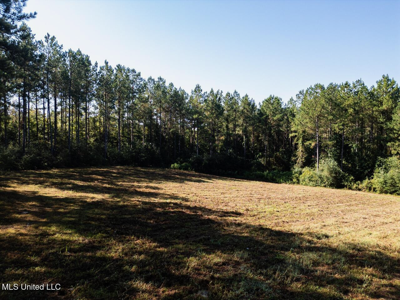 113 Acres Hunting Land with Home in Amite County, MS