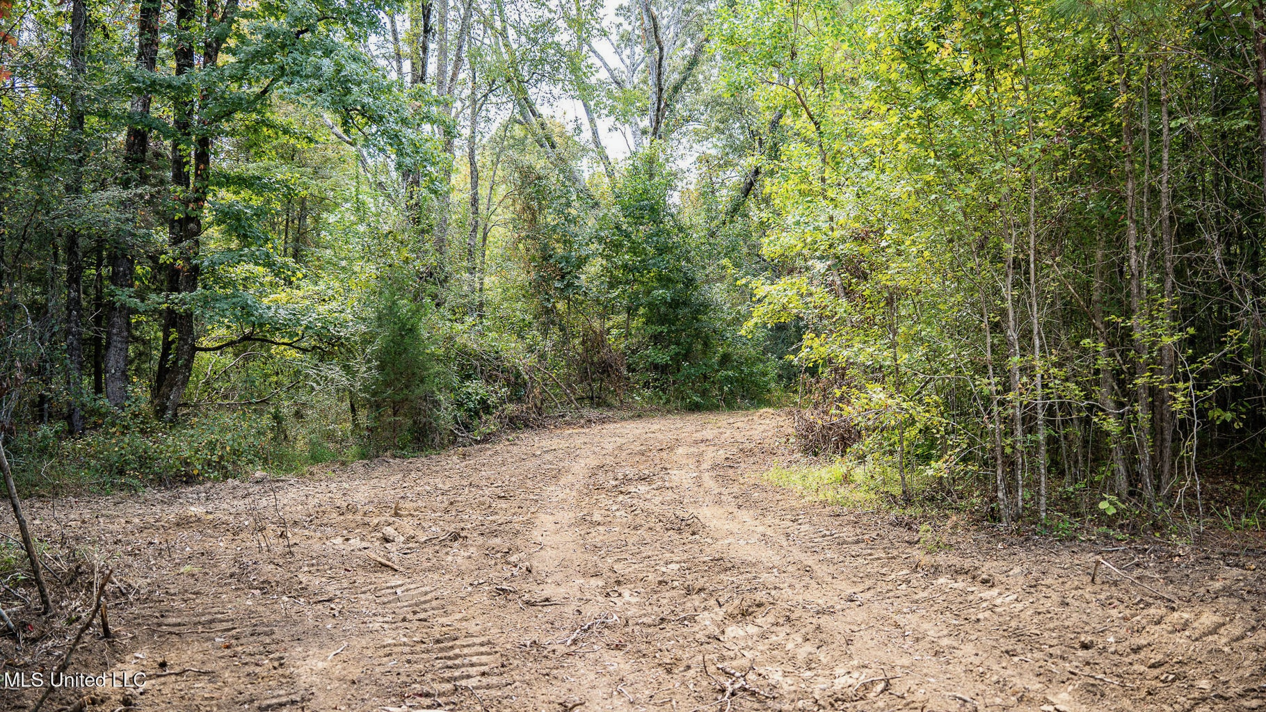 302 Acres in Hermanville, Claiborne County, MS Land