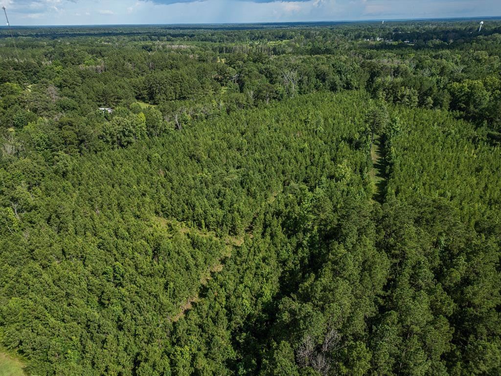 Gloster 38 – Hunting Land in Amite County, Mississippi