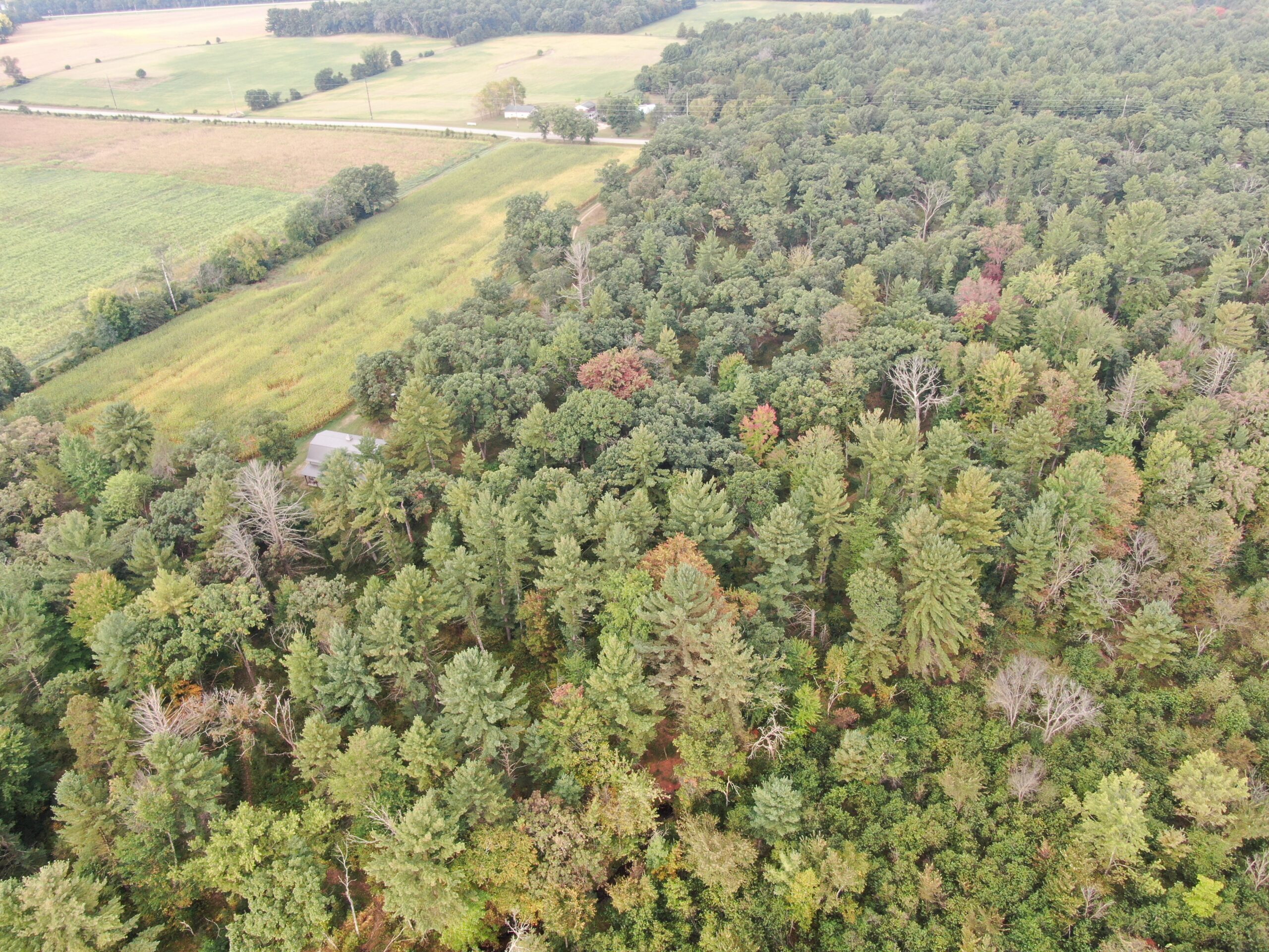 40 acres just north of Wisconsin Dells with abundant deer & turkey habitat