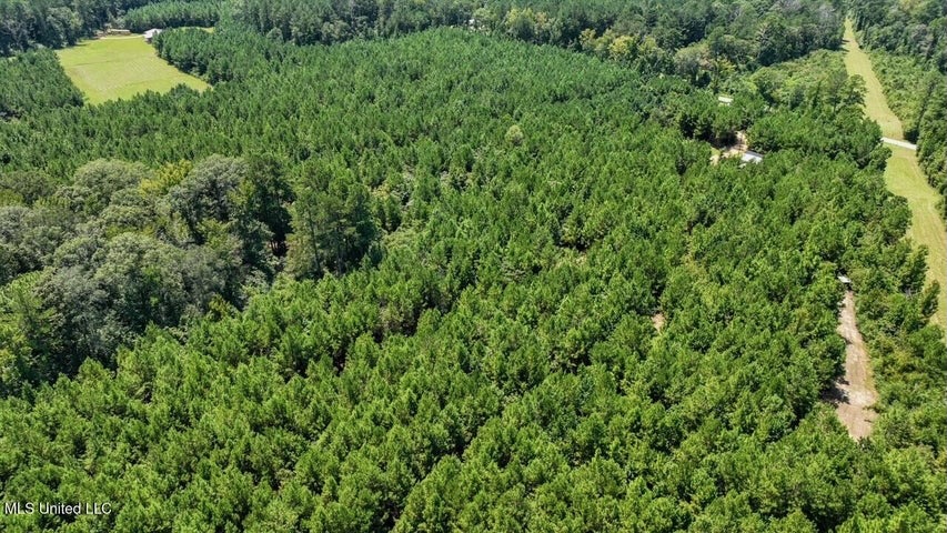 Magnolia MS 18.19 Acres with Mobile Home & Hunting Land