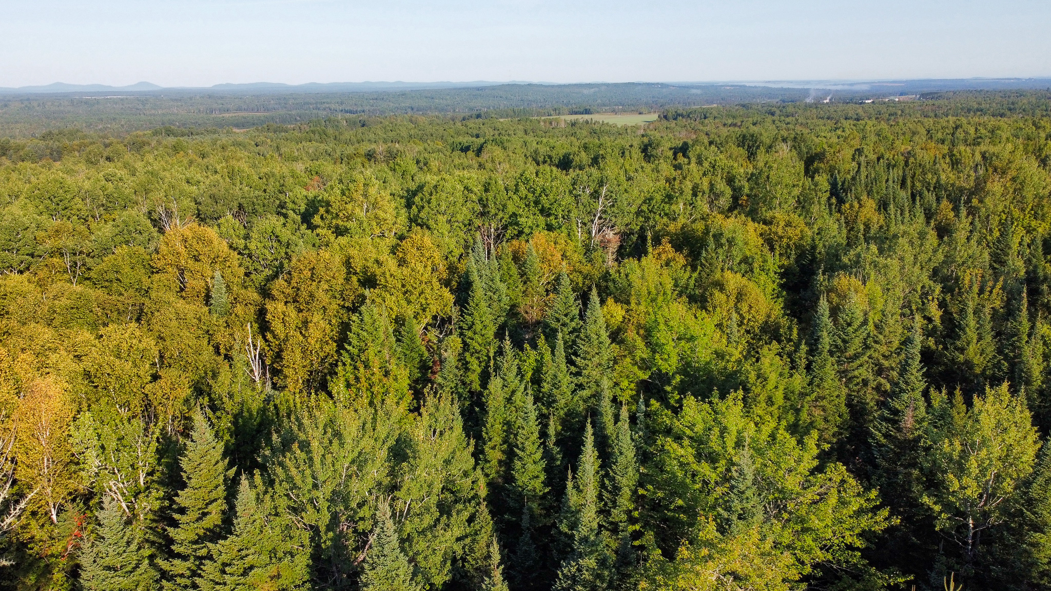 145 Acres with Timber Frame Cabin & Barn in Masardis, Maine