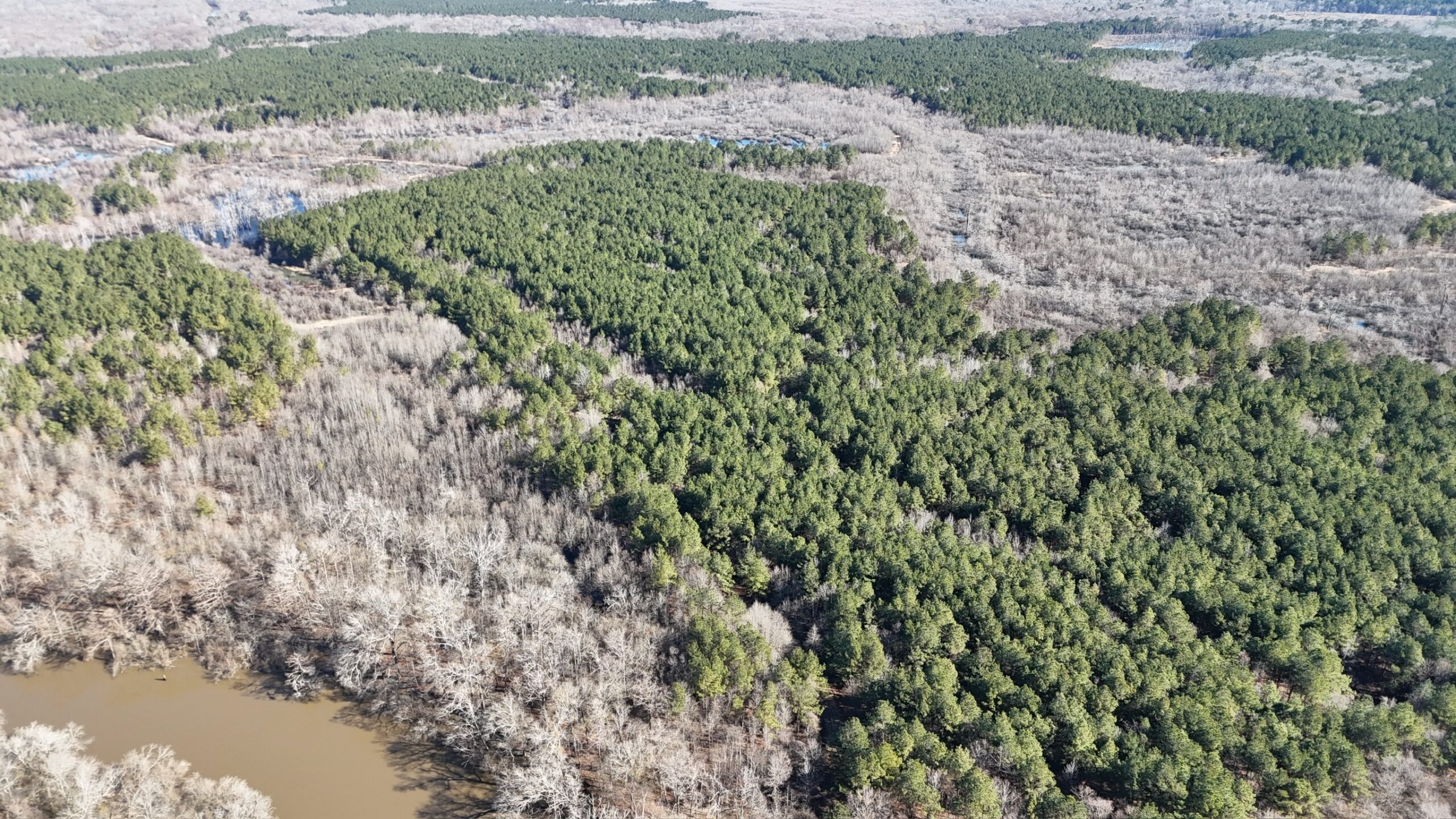 Duck, Deer, and Fishing Land for Sale on Little River
