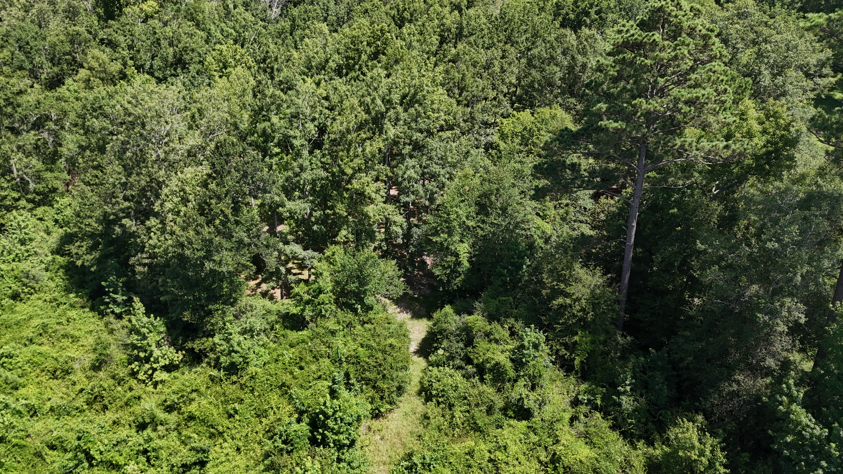 Hunting Property and Homesite in Jackson Parish LA