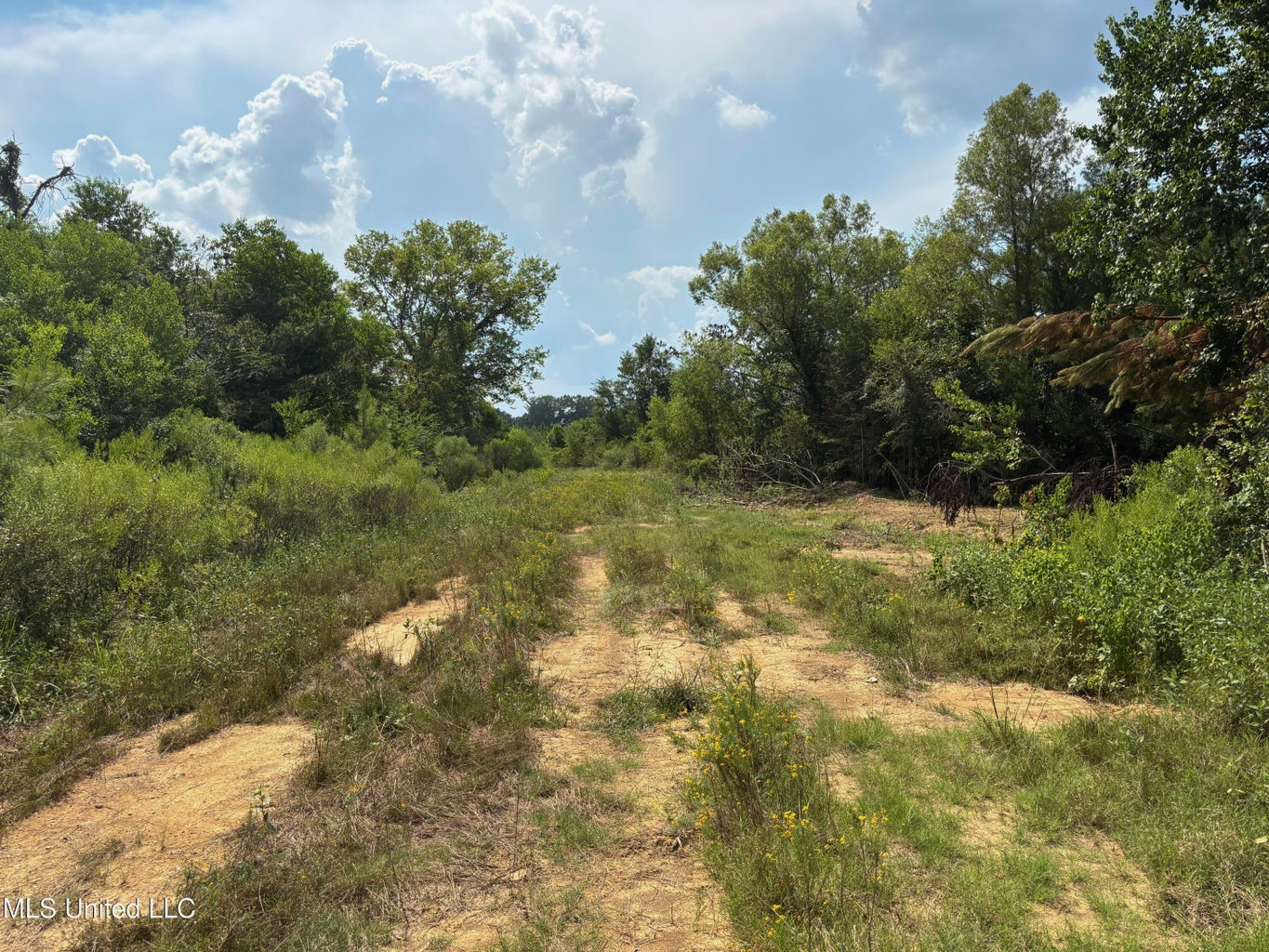 95 Acres for Sale in Hinds County Jackson, MS