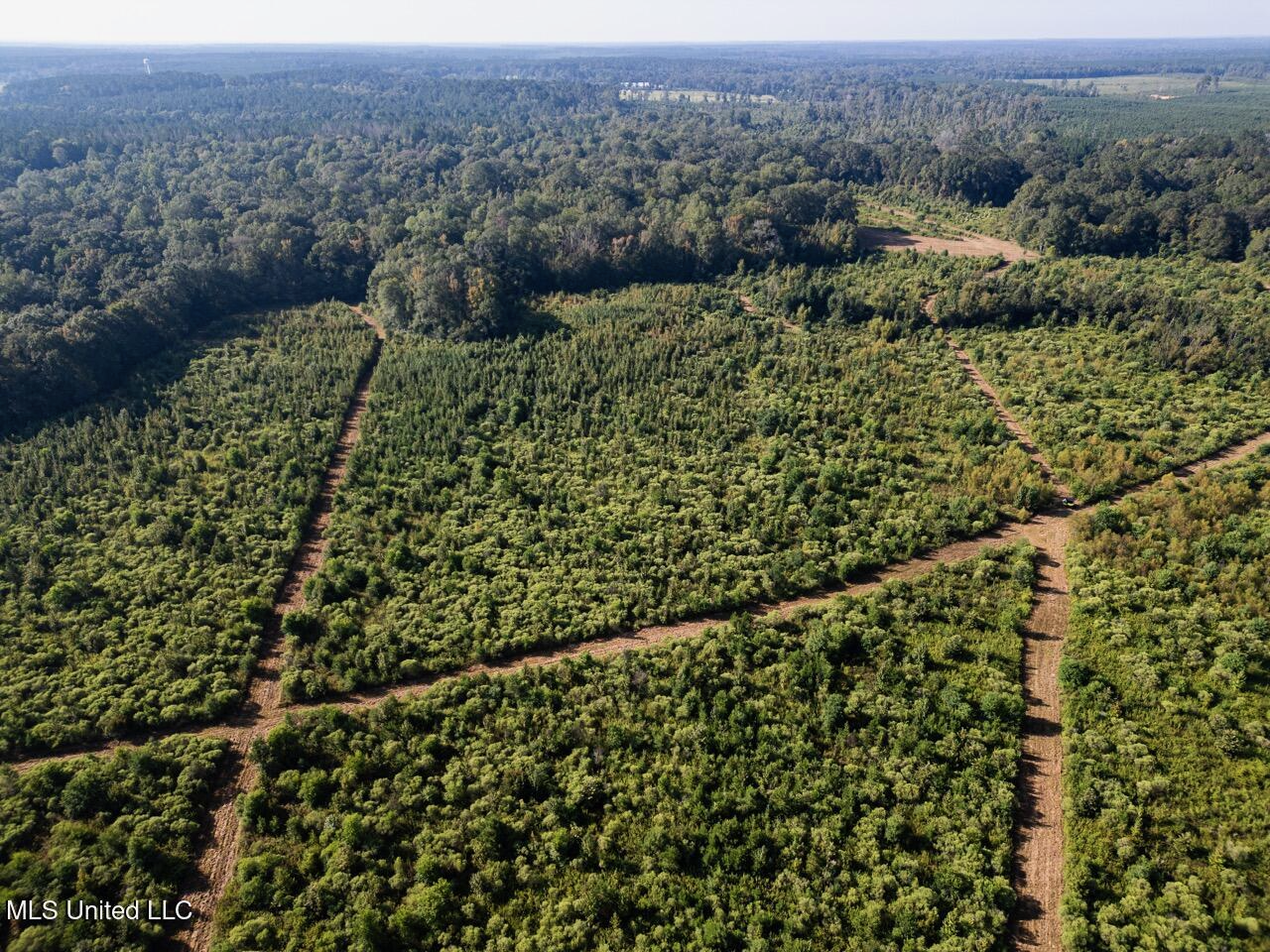 Cotton Creek 169 Acres for Sale in Amite County, MS