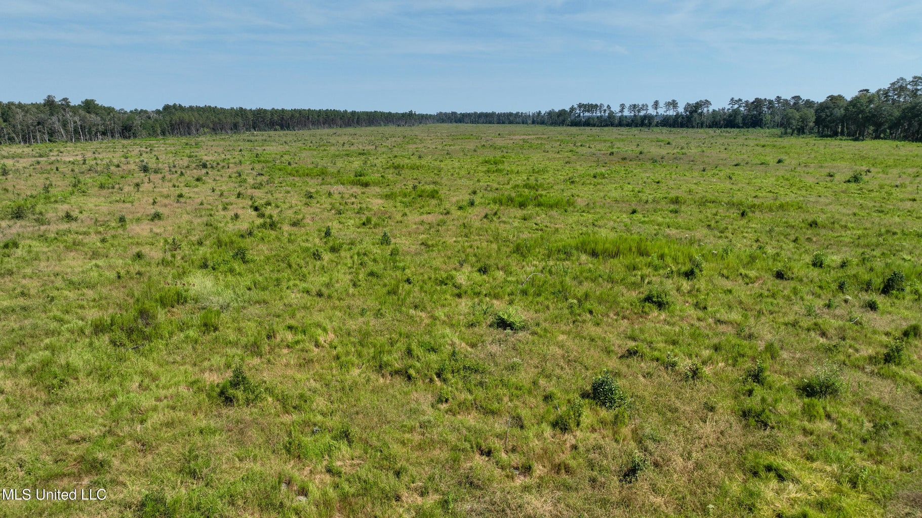 Land for Sale in Tangipahoa Parish, LA.