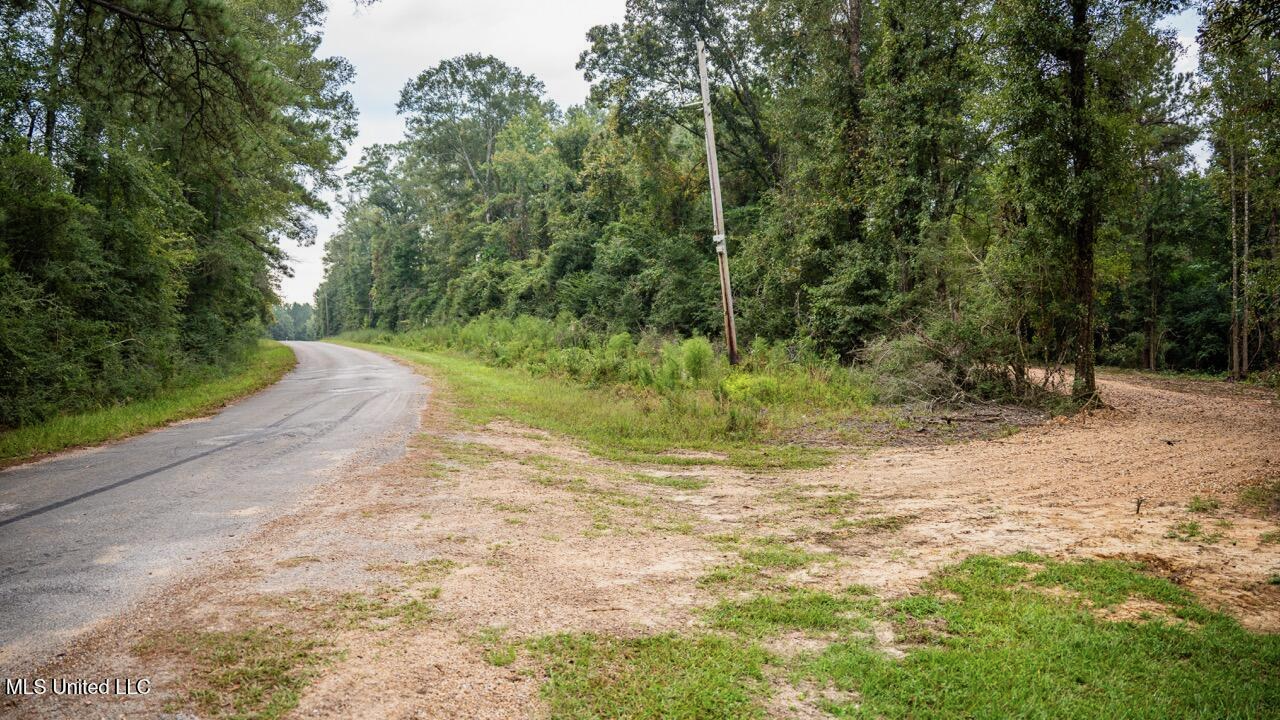 Ramsey Creek 67 Acres for Sale in Centreville, MS