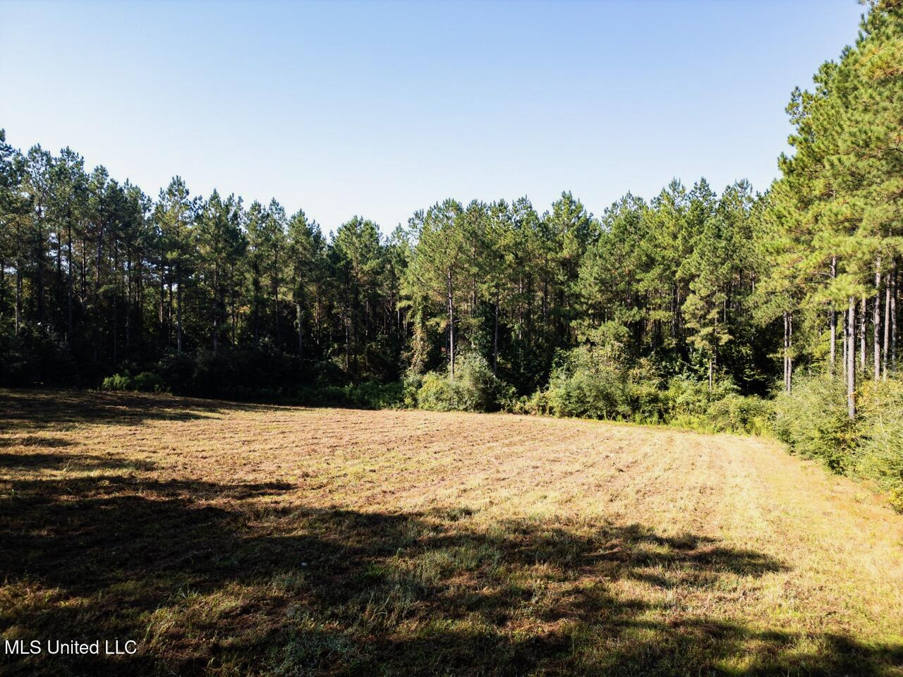 113 Acres Hunting Land with Home in Amite County, MS