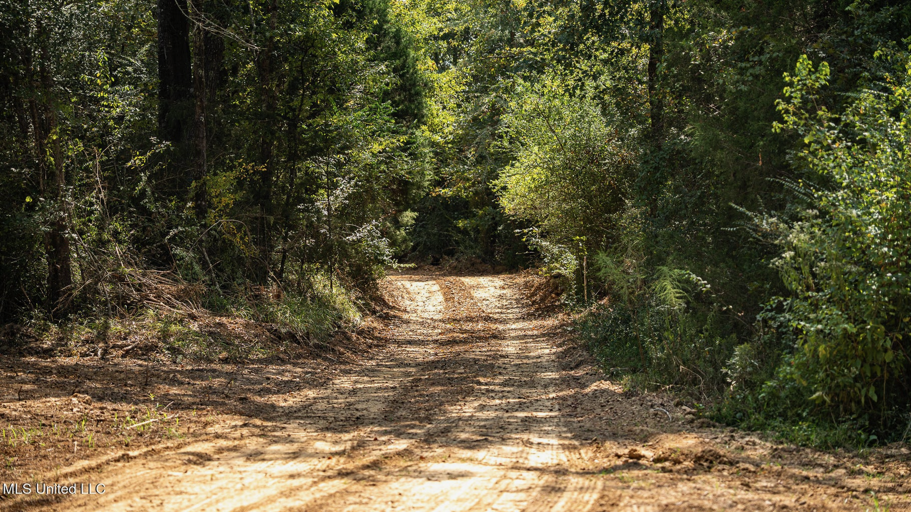302 Acres in Hermanville, Claiborne County, MS Land