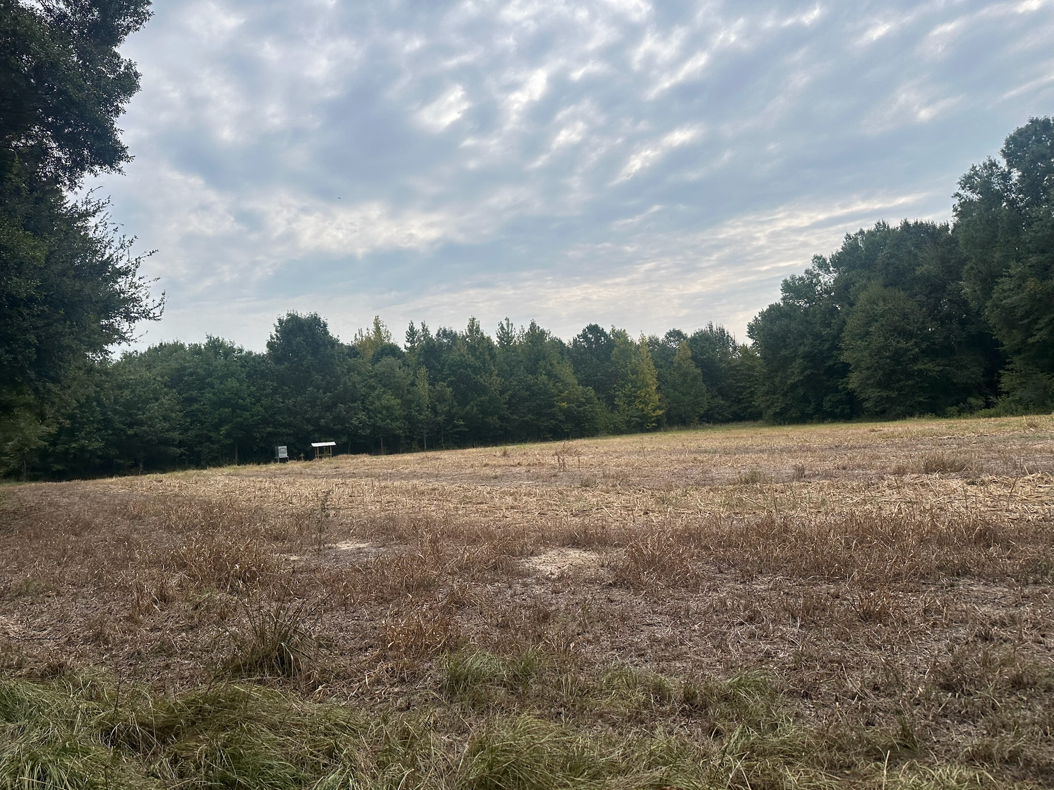 Duck and Deer Hunting Land for Sale Wisner  LA