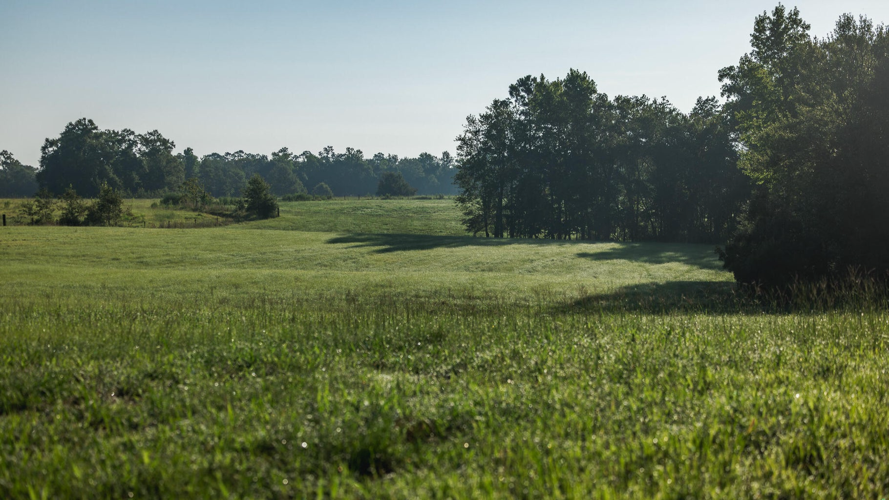 Golden Pines Ranch 235 Recreational Acres in Stone County MS