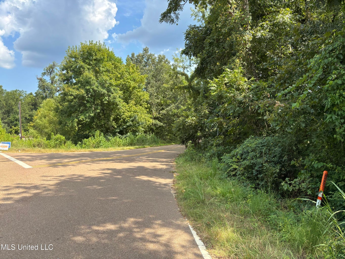 88 Acres for Sale in Hinds County Jackson, MS