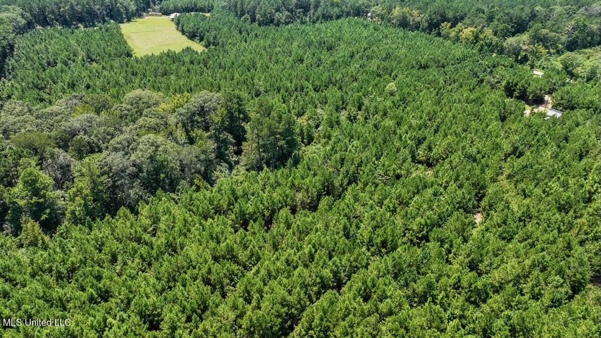 Magnolia MS 18.19 Acres with Mobile Home & Hunting Land