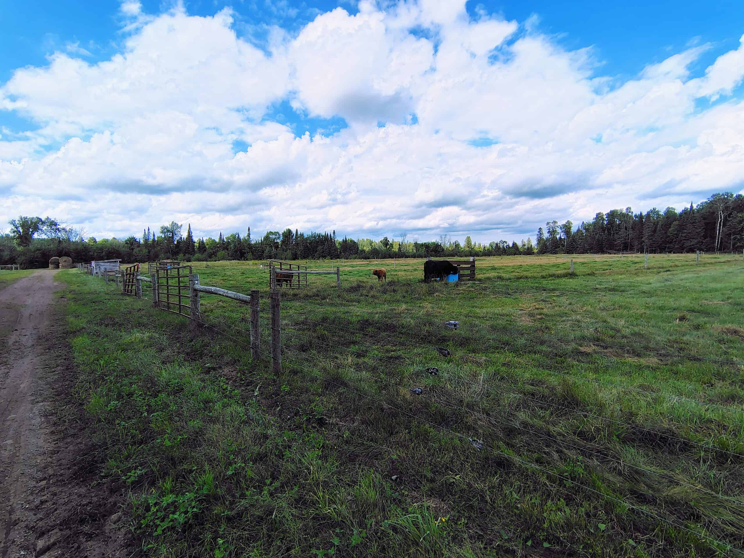 Country Home with Acreage for Sale in Glidden, WI