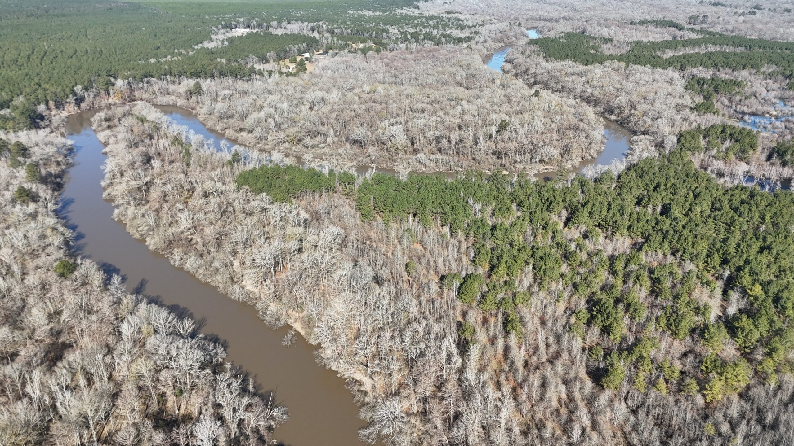 Duck, Deer, and Fishing Land for Sale on Little River
