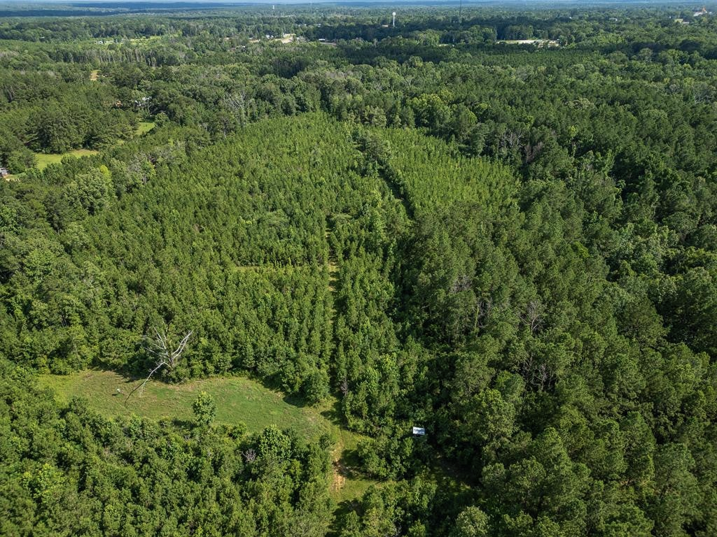 Gloster 38 – Hunting Land in Amite County, Mississippi