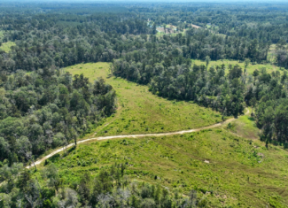 Land for Sale in Tangipahoa Parish, LA.