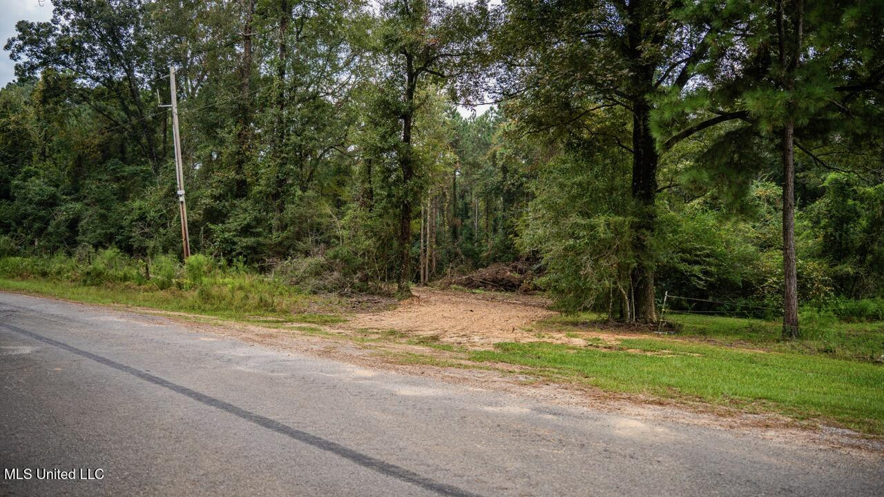 Ramsey Creek 67 Acres for Sale in Centreville, MS