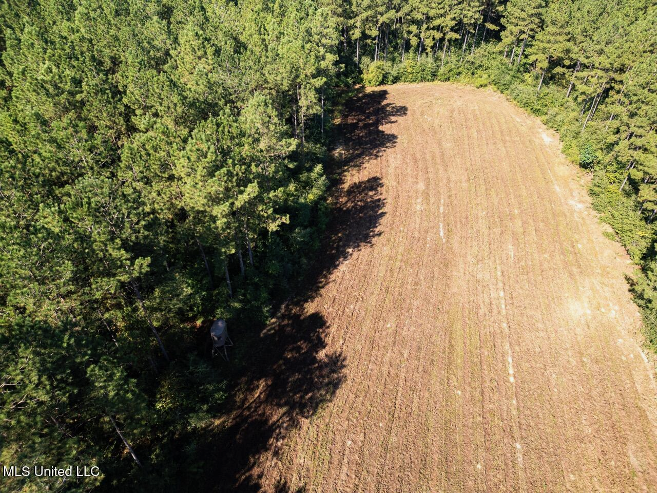 113 Acres Hunting Land with Home in Amite County, MS