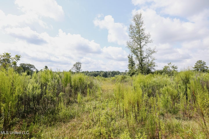Land for Sale in Lincoln County, MS