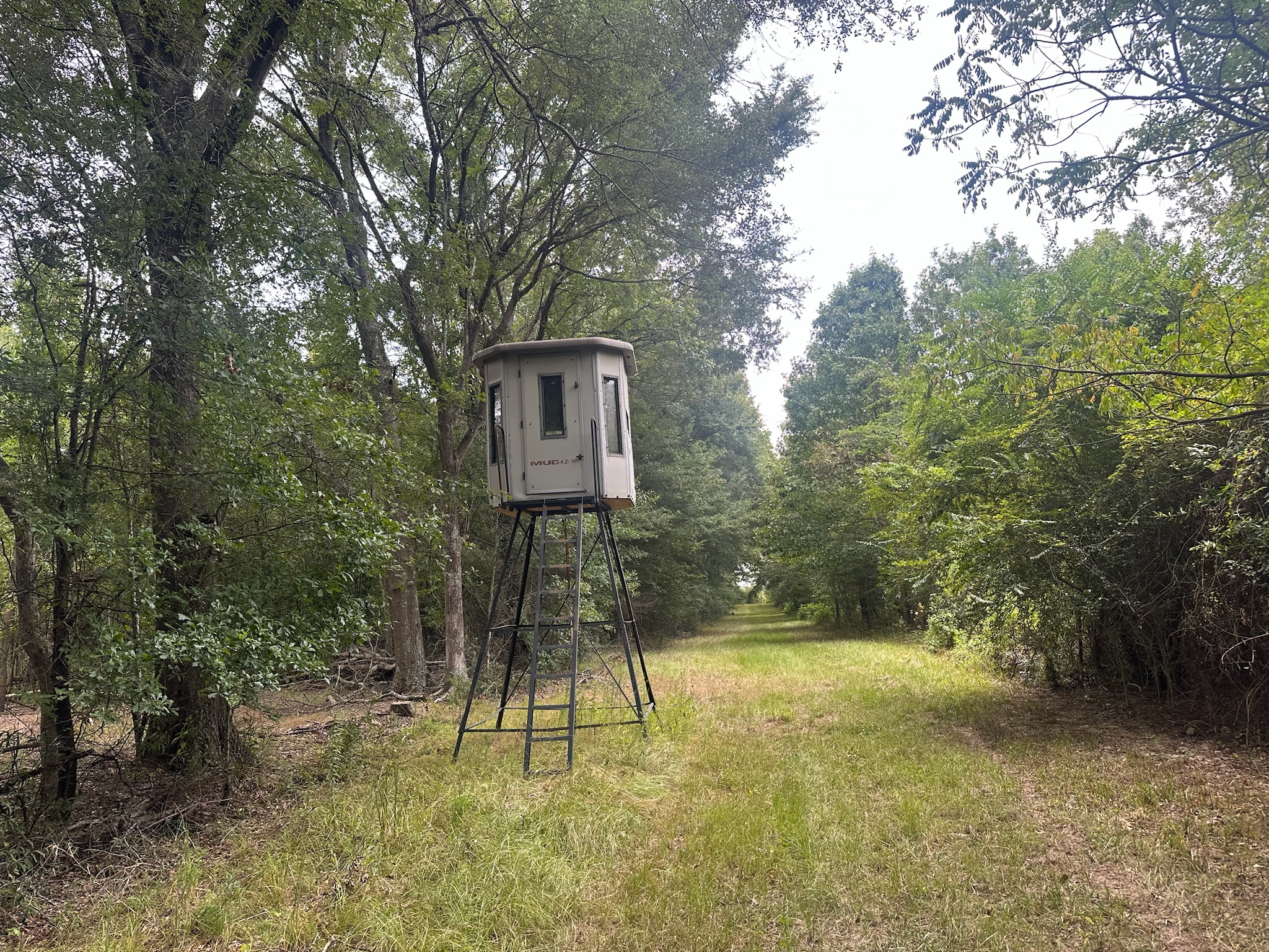 Duck and Deer Hunting Land for Sale Wisner  LA
