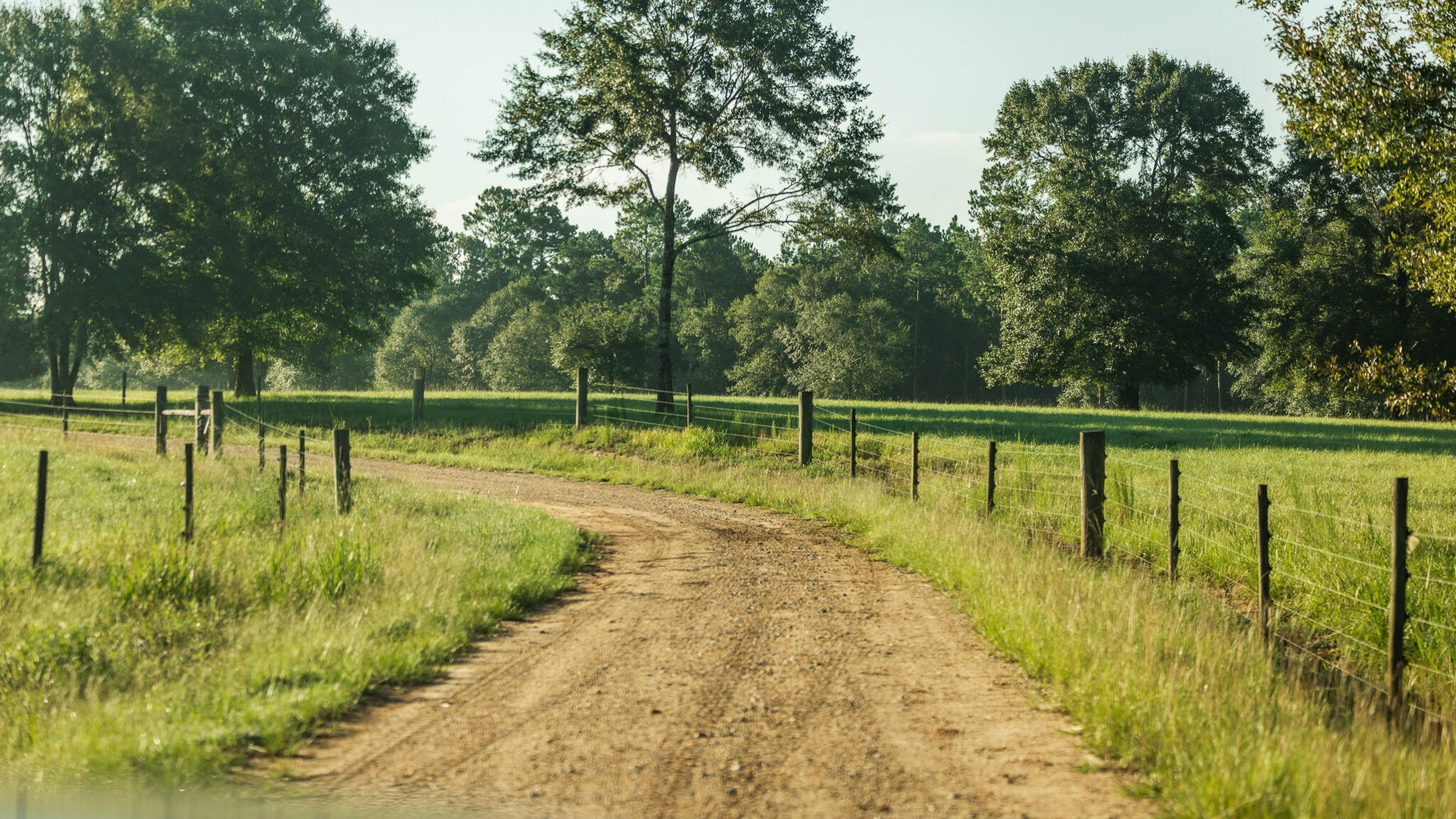 Golden Pines Ranch 235 Recreational Acres in Stone County MS