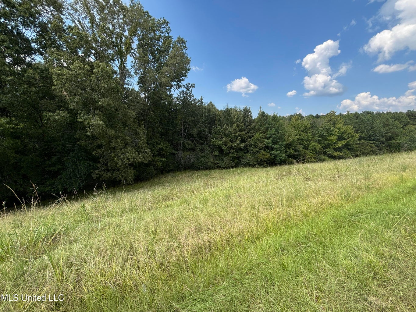 95 Acres for Sale in Hinds County Jackson, MS