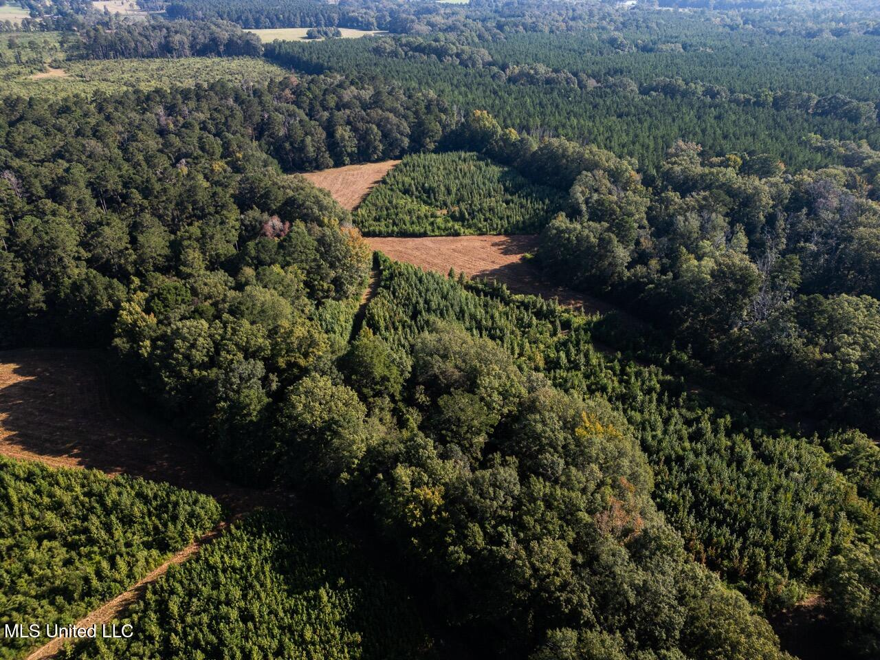 Cotton Creek 169 Acres for Sale in Amite County, MS