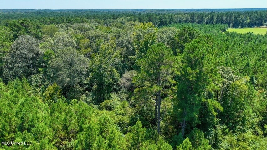 Magnolia MS 18.19 Acres with Mobile Home & Hunting Land