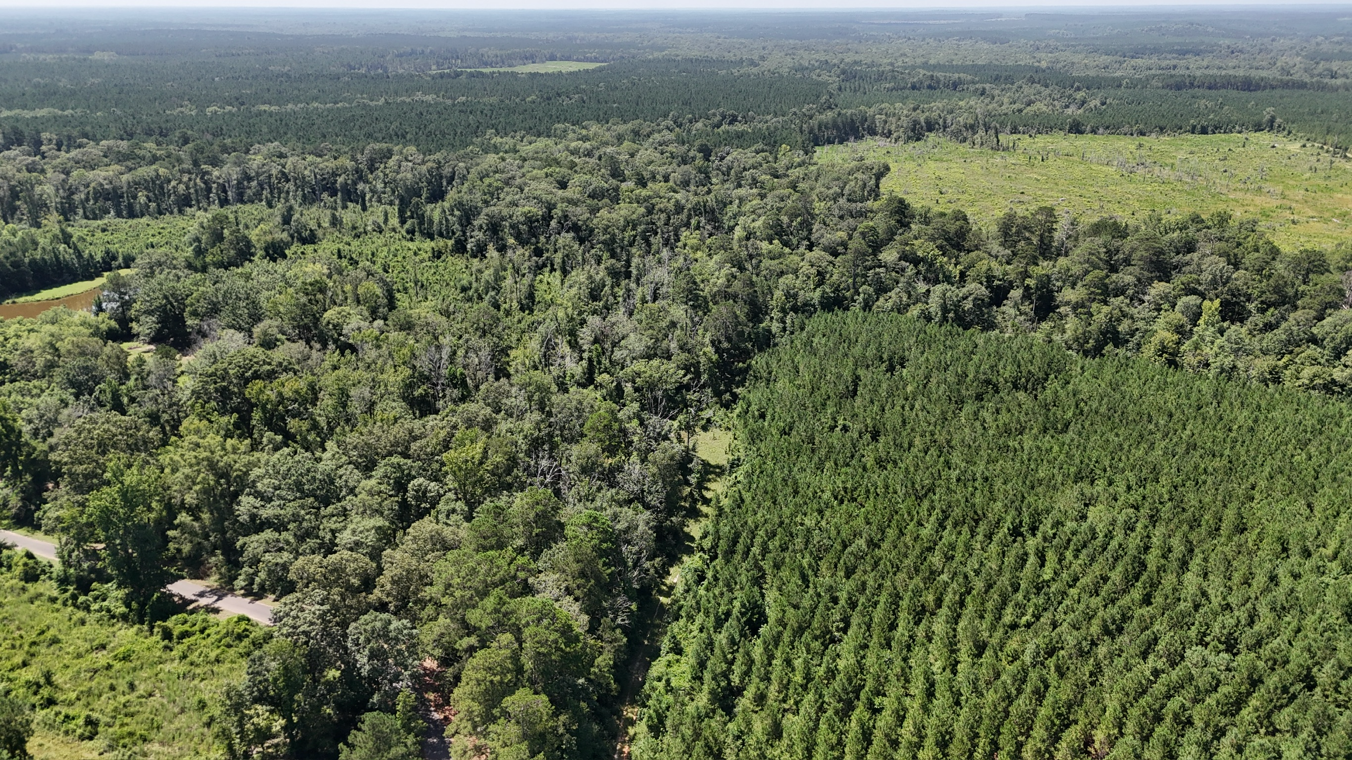 Hunting Property and Homesite in Jackson Parish LA