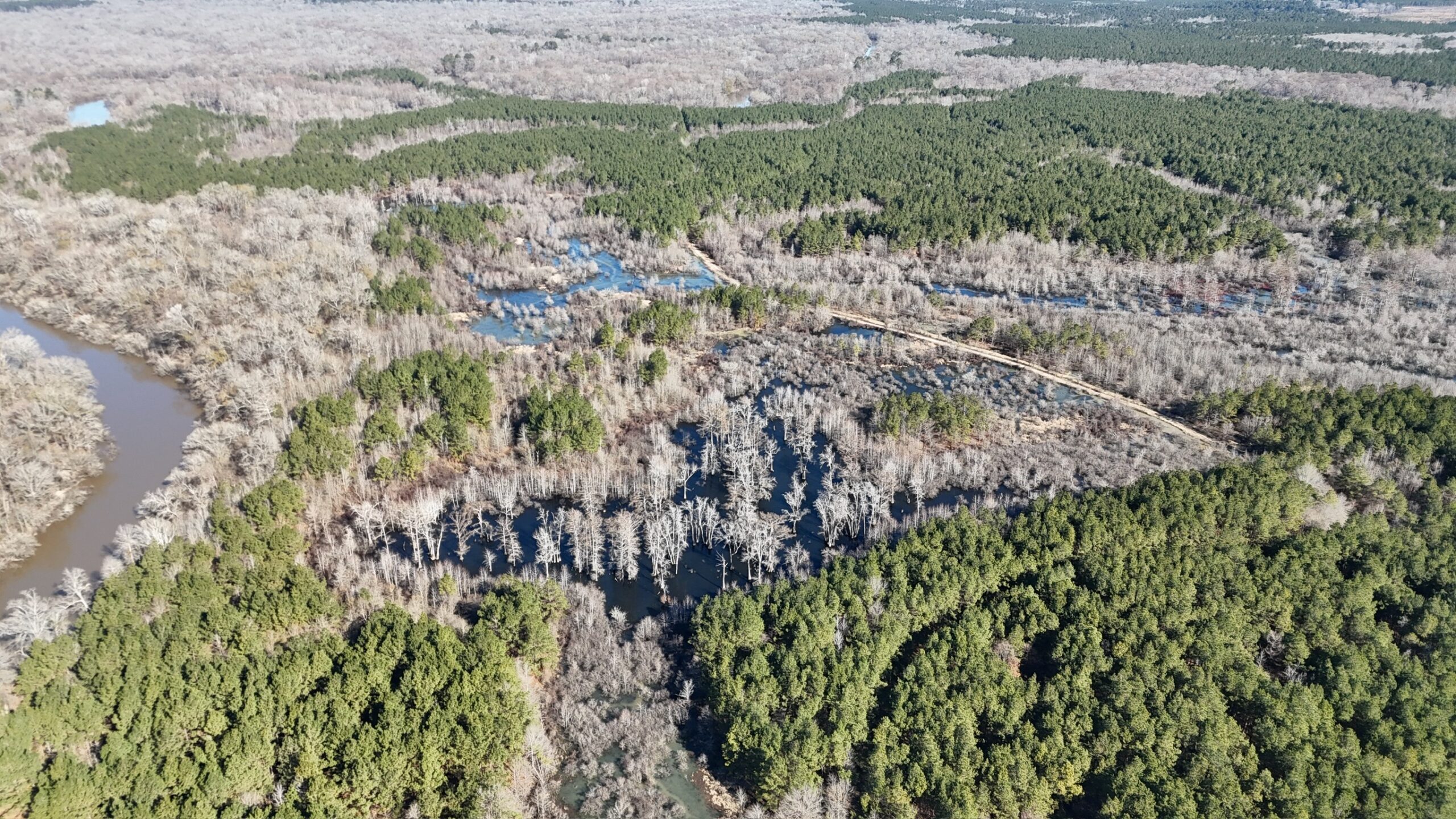 Duck, Deer, and Fishing Land for Sale on Little River