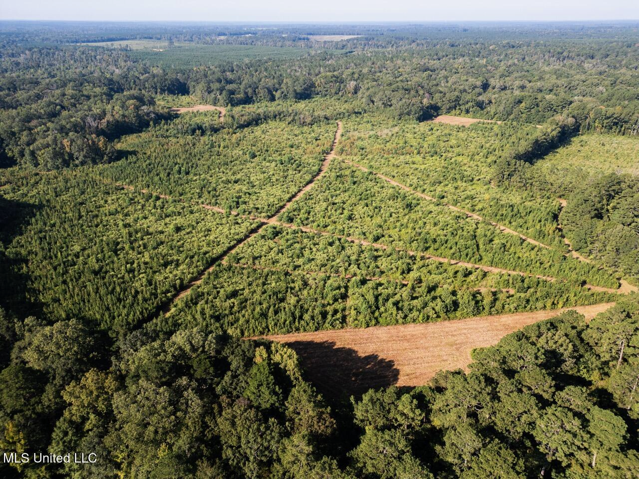 Cotton Creek 169 Acres for Sale in Amite County, MS