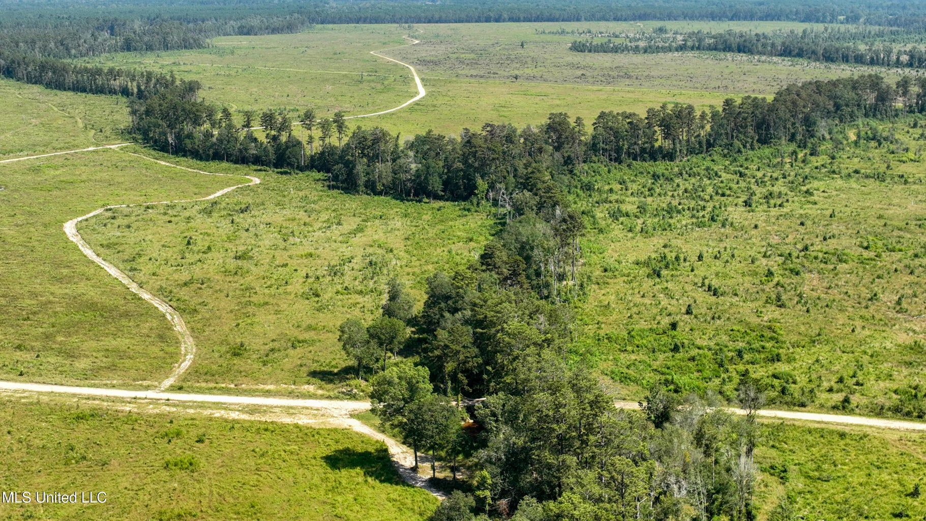 Land for Sale in Tangipahoa Parish, LA.