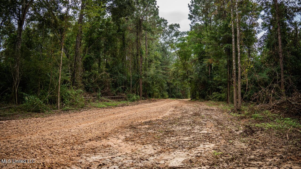 Ramsey Creek 67 Acres for Sale in Centreville, MS