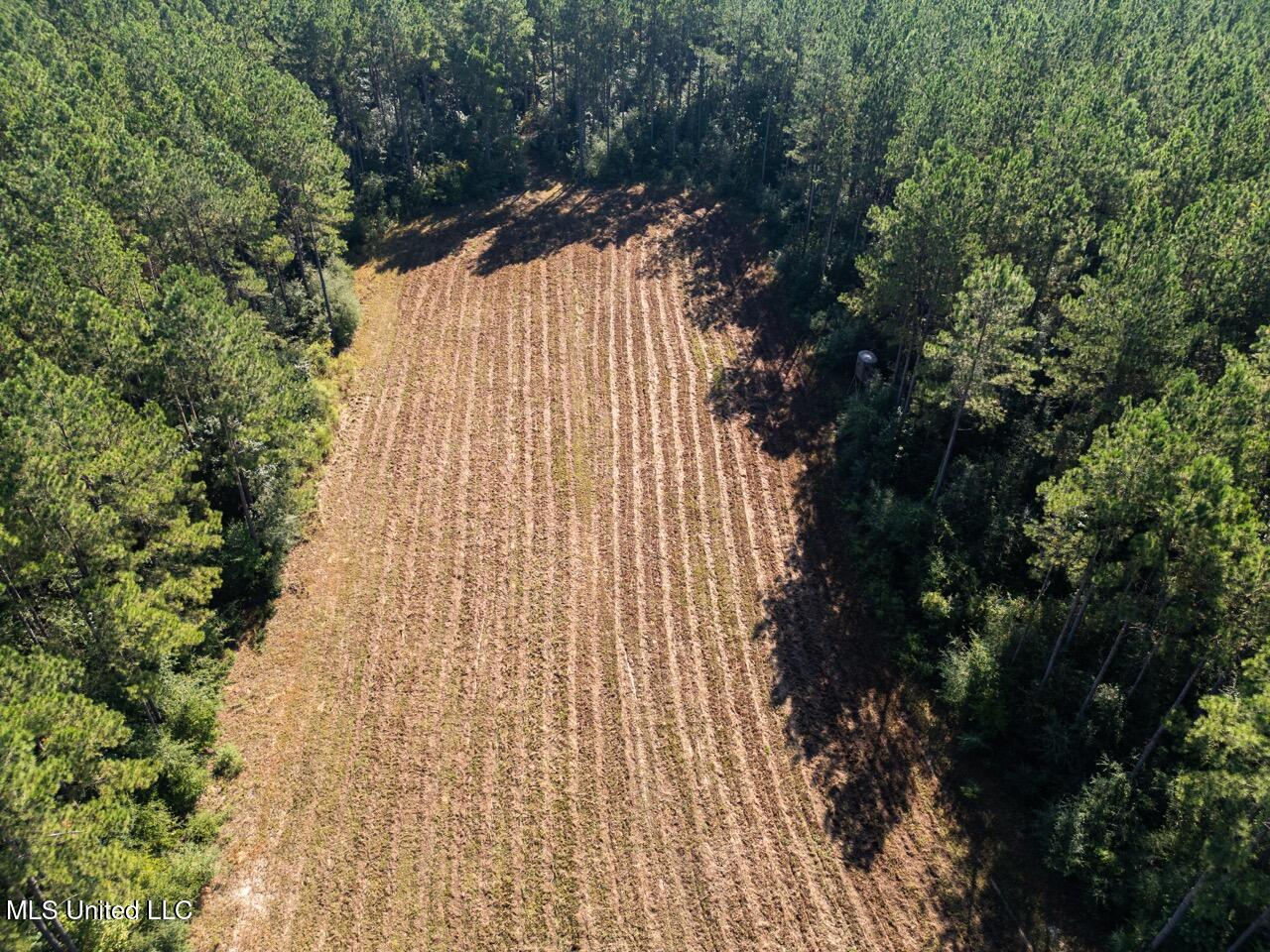 113 Acres Hunting Land with Home in Amite County, MS