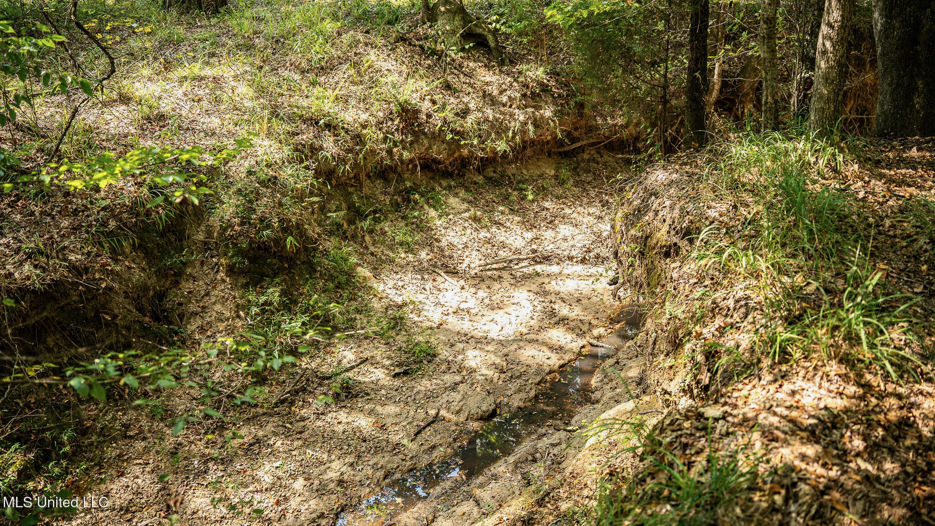 302 Acres in Hermanville, Claiborne County, MS Land
