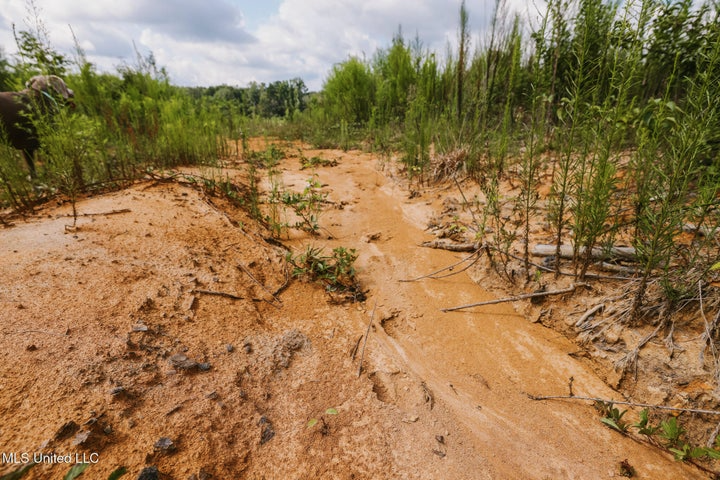 Land for Sale in Lincoln County, MS