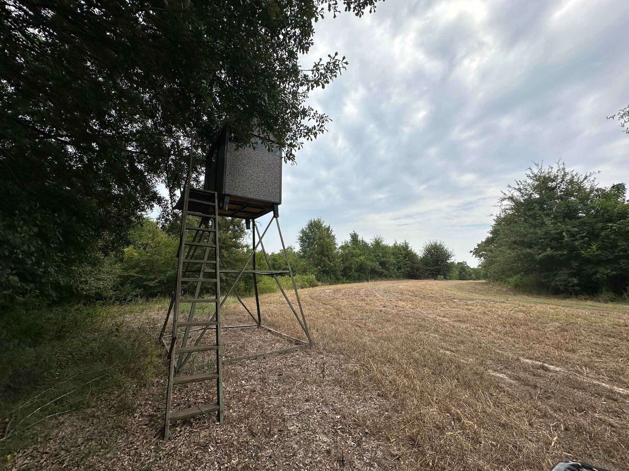 Duck and Deer Hunting Land for Sale Wisner  LA