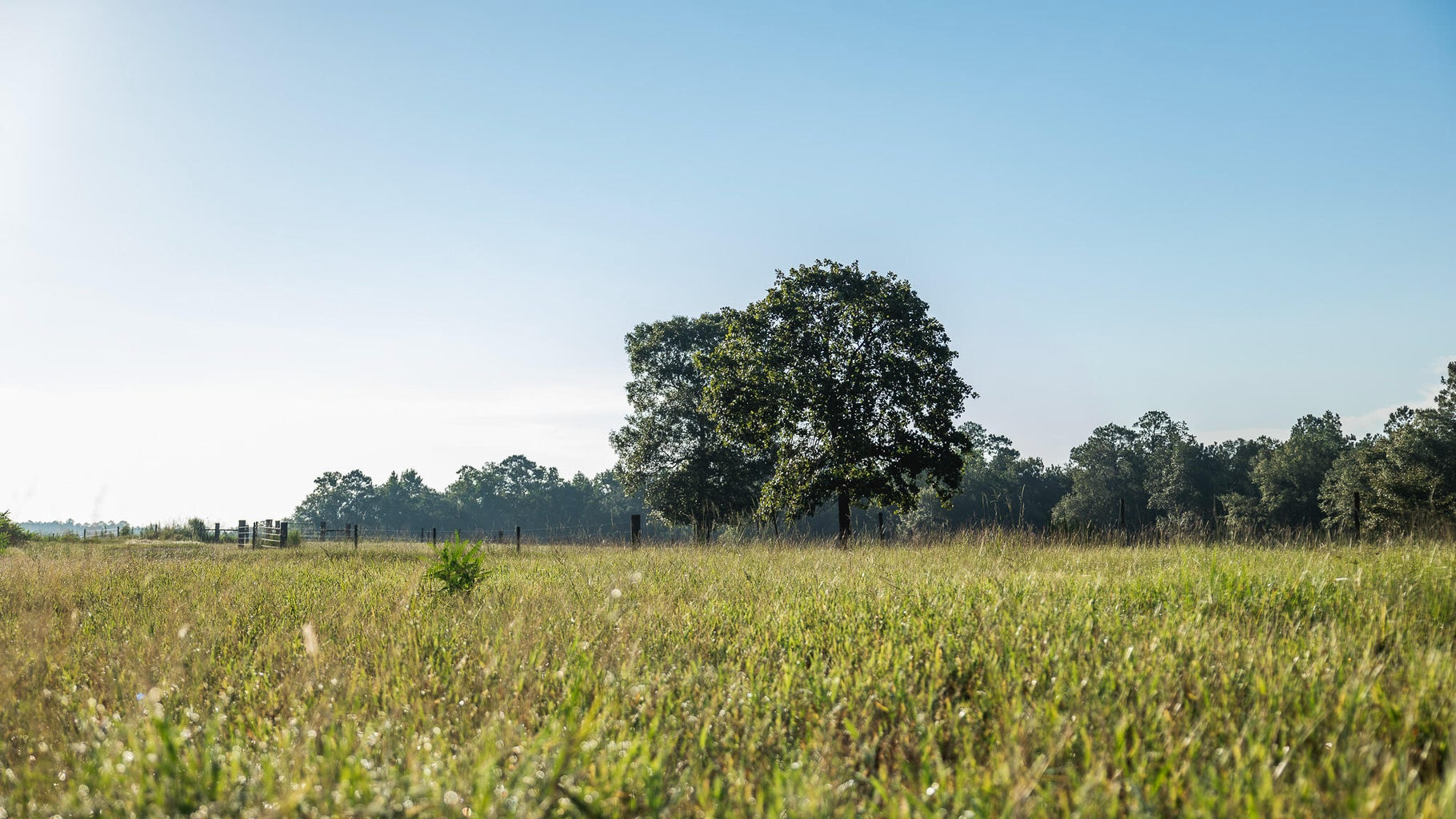 Golden Pines Ranch 235 Recreational Acres in Stone County MS