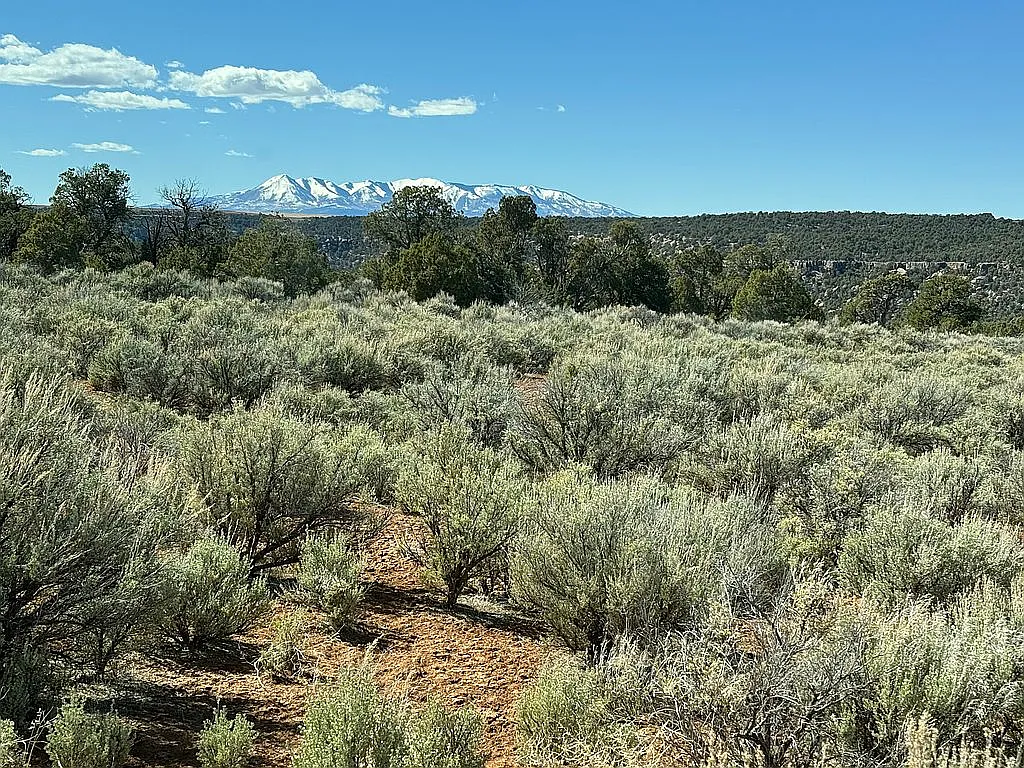 ATTENTION COLORADO AND UTAH HUNTERS!!!