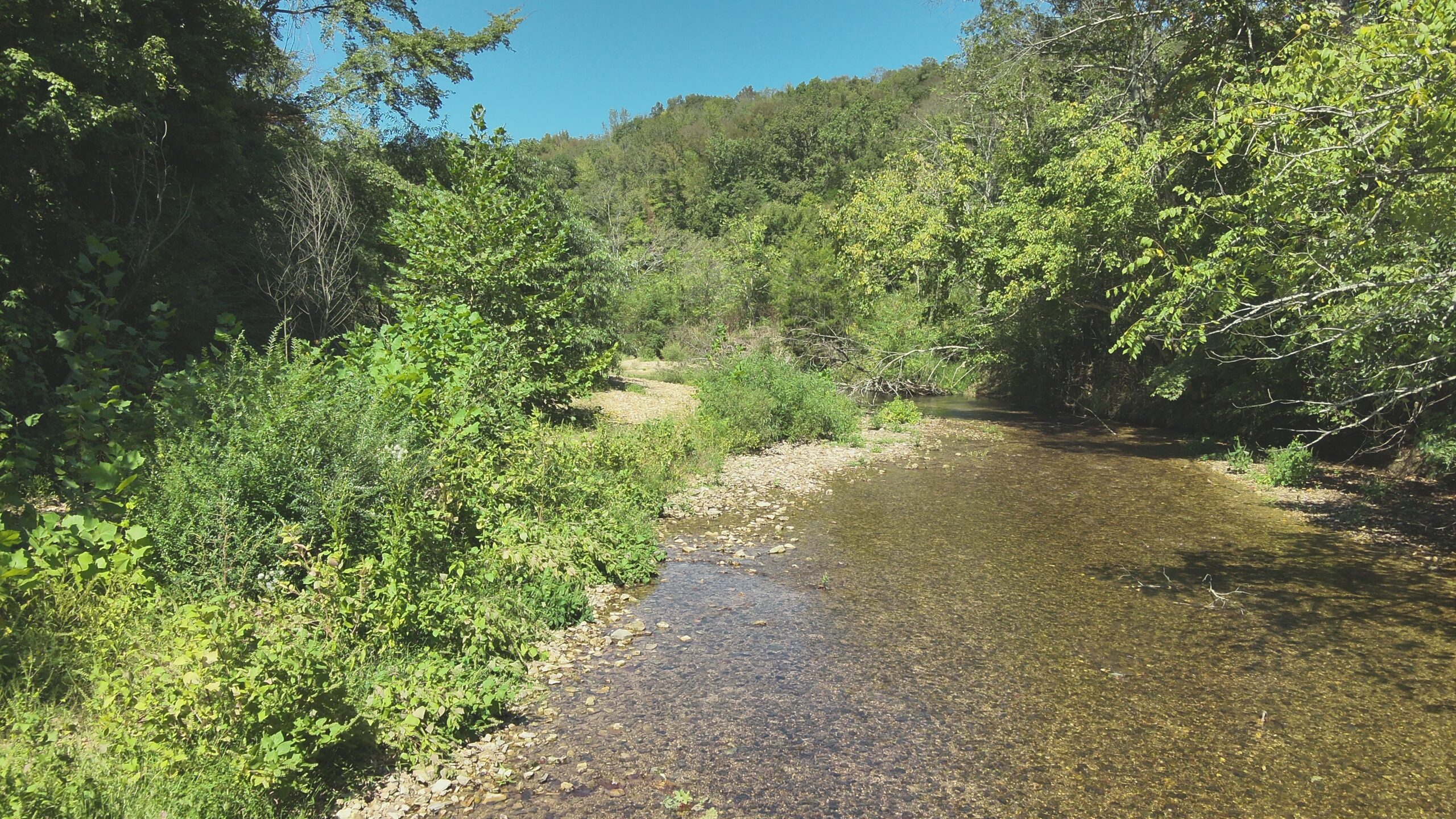 29.5 Acres of Land for Sale with Year Round Creek