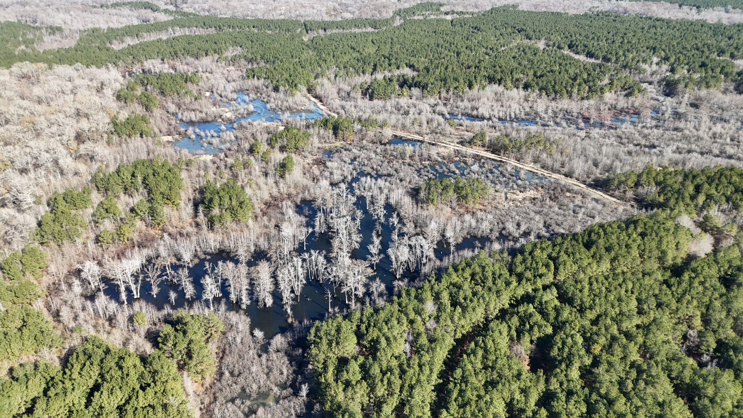 Duck, Deer, and Fishing Land for Sale on Little River