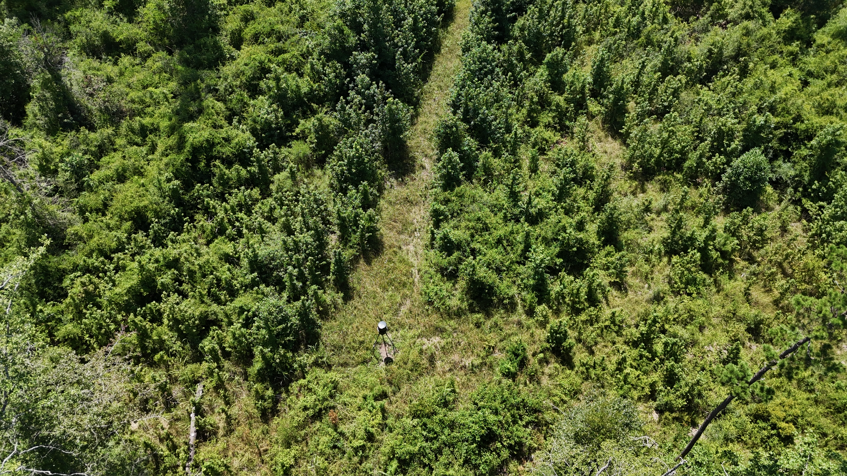 Hunting Property and Homesite in Jackson Parish LA
